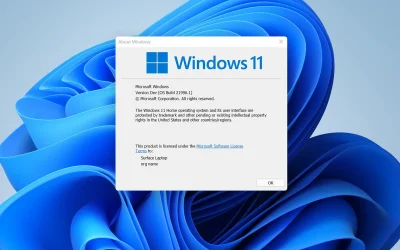 Windows 11 (Again)