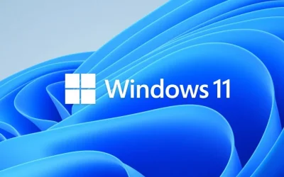Windows 11